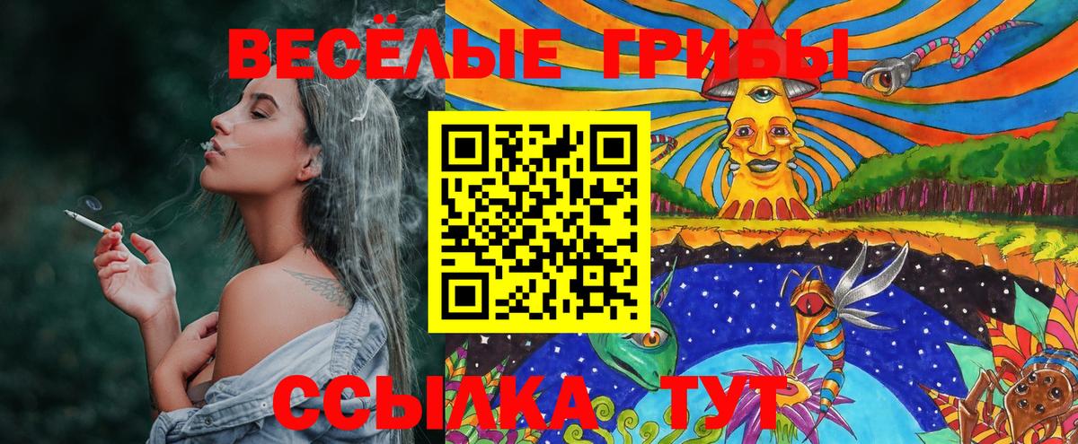 Тельмана  Псилоцибиновые грибы MAGIC MUSHROOMS  Вход с VPN 