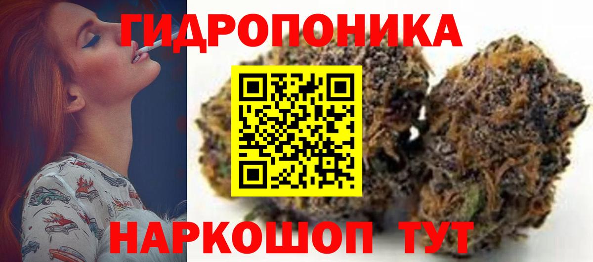 Канабис семена Тельмана